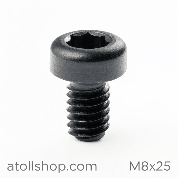 Socket Cap Screw M8x25 Black Oxide