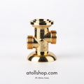 Non-return / anti-siphon valve