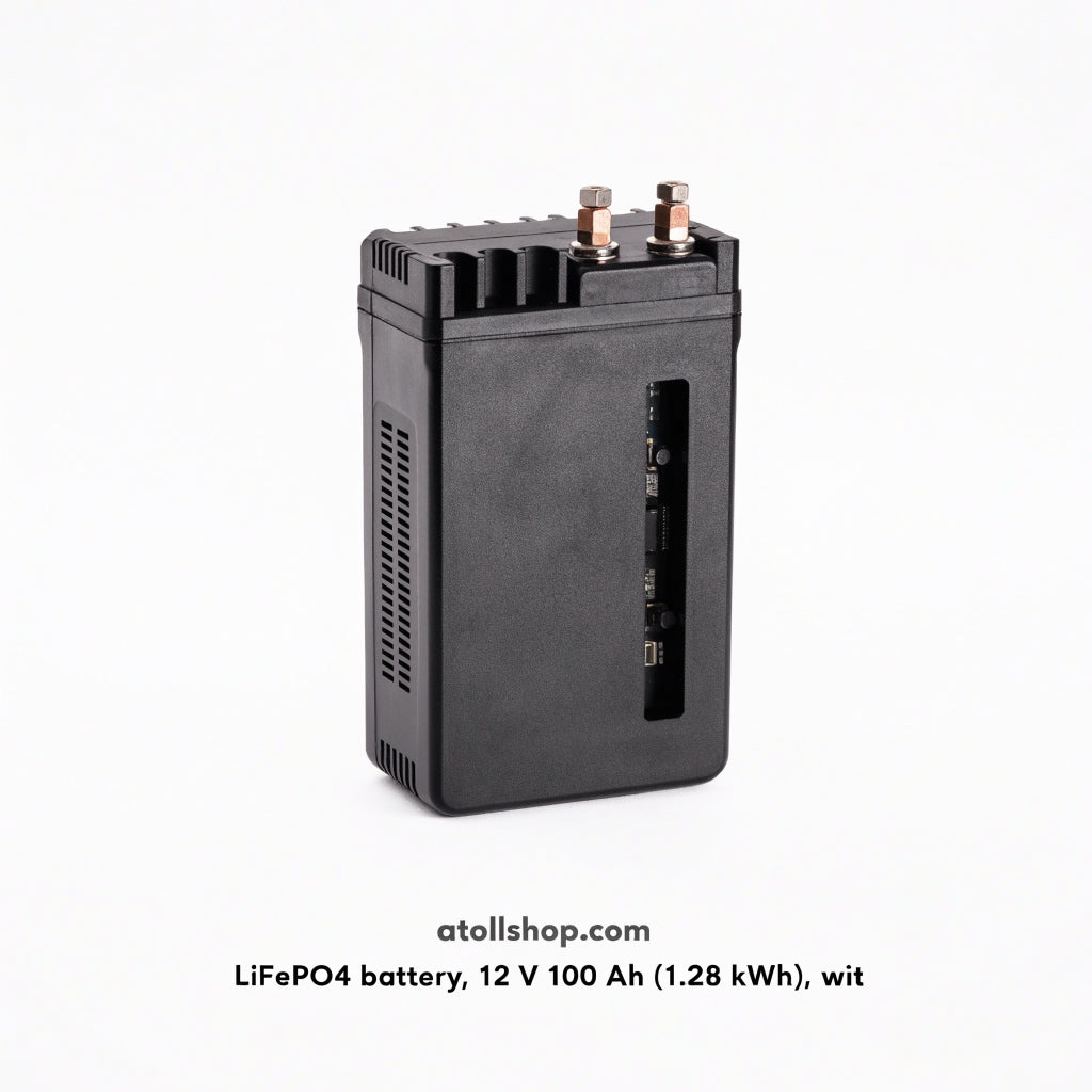 LiFePO4 battery, 12 V 100 Ah (1.28 kWh), with BMS