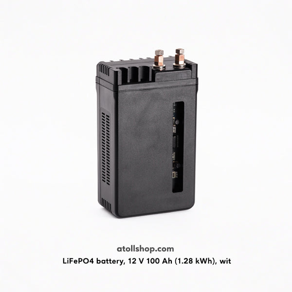 LiFePO4 battery, 12 V 100 Ah (1.28 kWh), with BMS