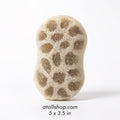 Loofa with Cover, 5 x 3.5 in