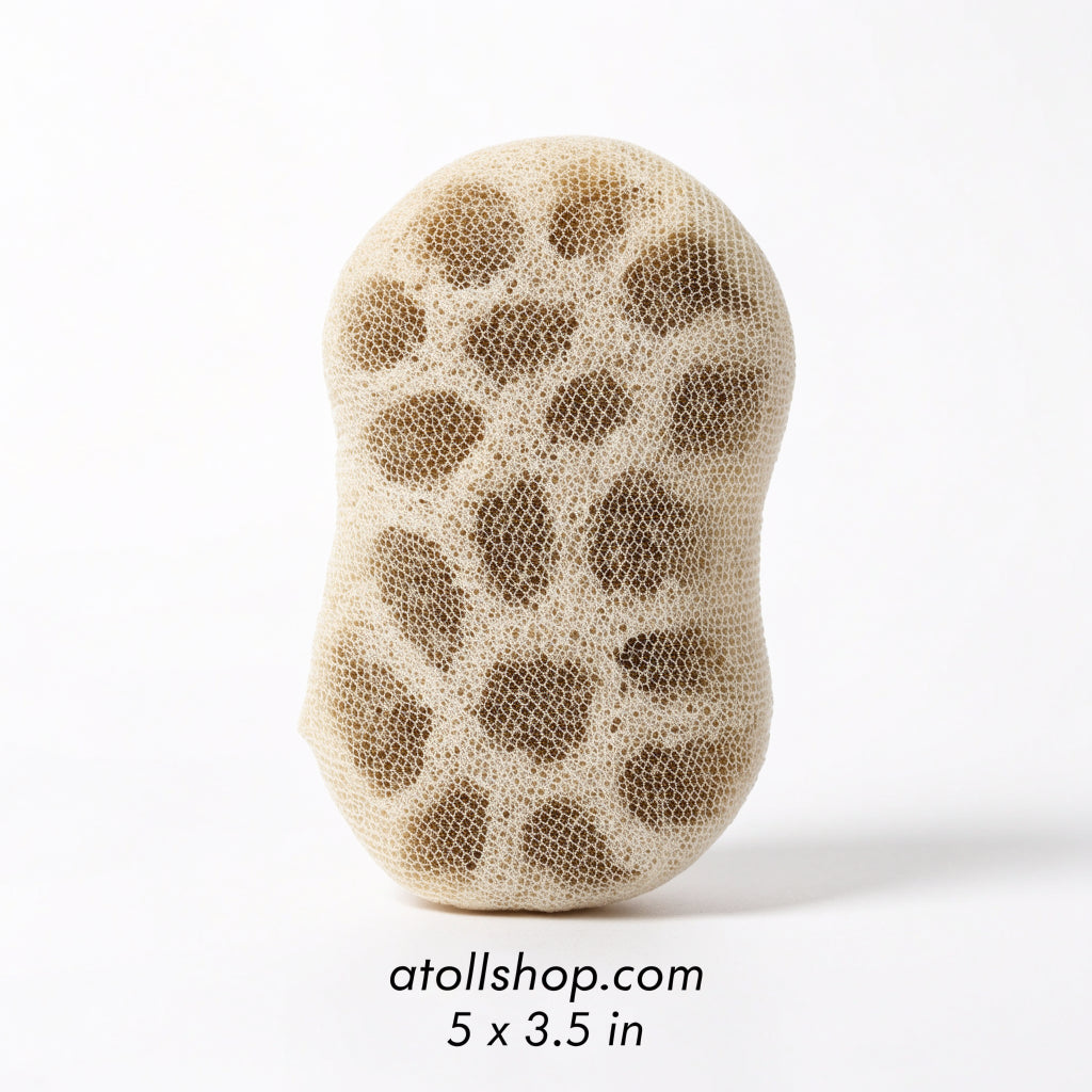 Loofa with Cover, 5 x 3.5 in